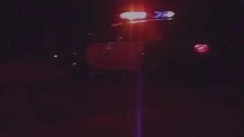 kinky Cops